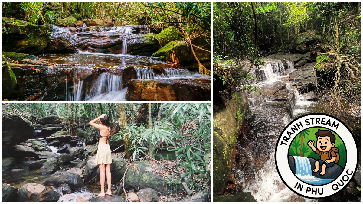 Nature and Wildlife at Tranh Stream in Phu Quoc