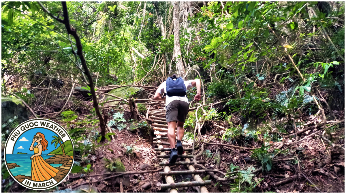 Perfect Phu Quoc Weather in March Makes It an Ideal Place for Trekking Perfect Phu Quoc Weather in March Makes It an Ideal Place for Trekking