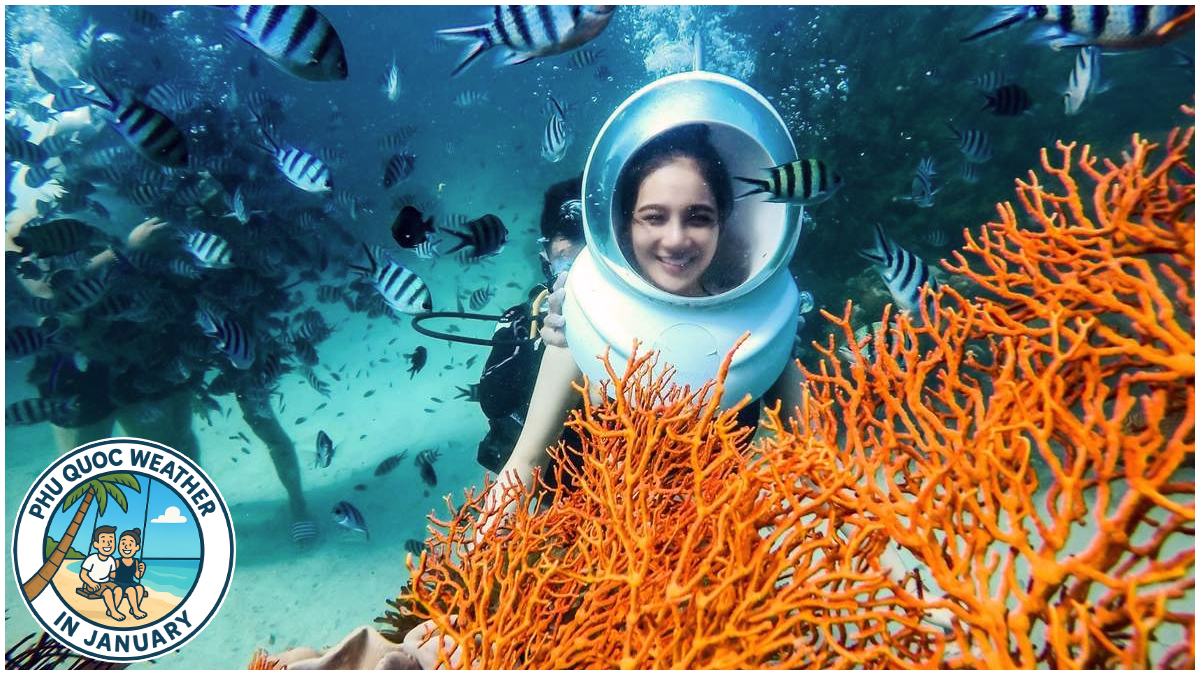 Phu Quoc Weather in January Is Perfect for Snorkeling Phu Quoc Weather in January Is Perfect for Snorkeling