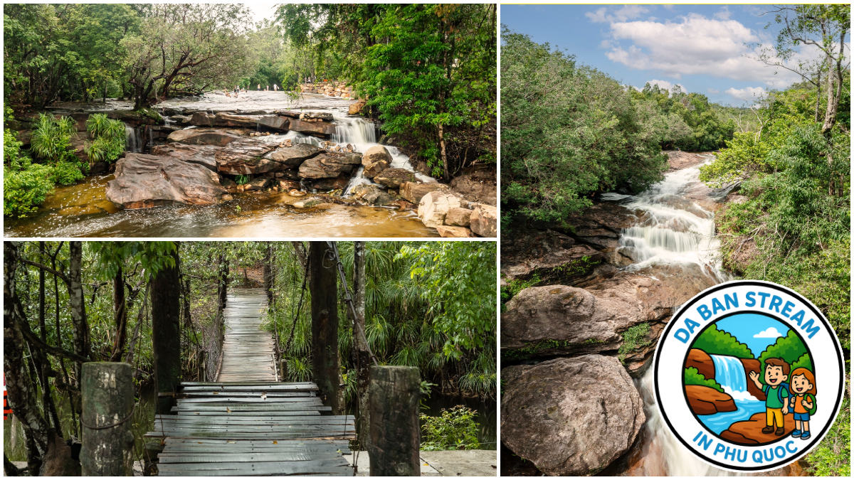 Prepare for Your Journey to Da Ban Stream in Phu Quoc Prepare for Your Journey to Da Ban Stream in Phu Quoc