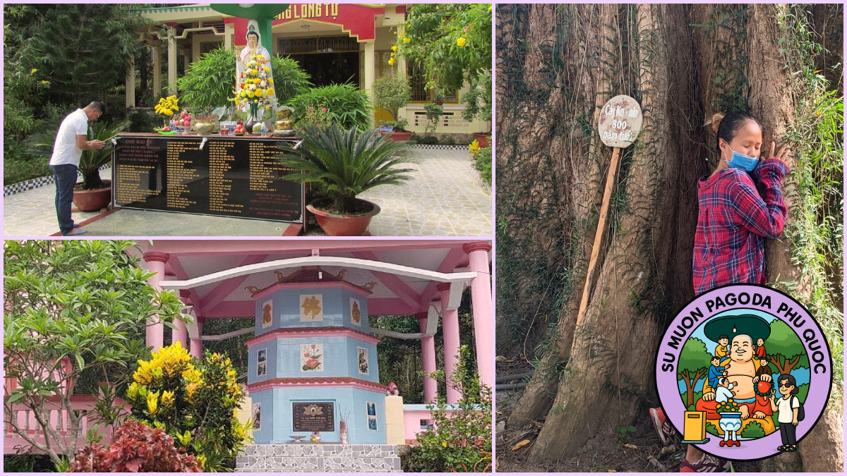 Travel Tips to Visit Su Muon Pagoda Phu Quoc Travel Tips to Visit Su Muon Pagoda Phu Quoc