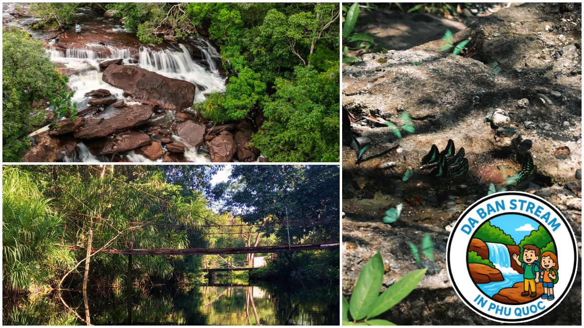 Wildlife Watching at Da Ban Stream in Phu Quoc Wildlife Watching at Da Ban Stream in Phu Quoc