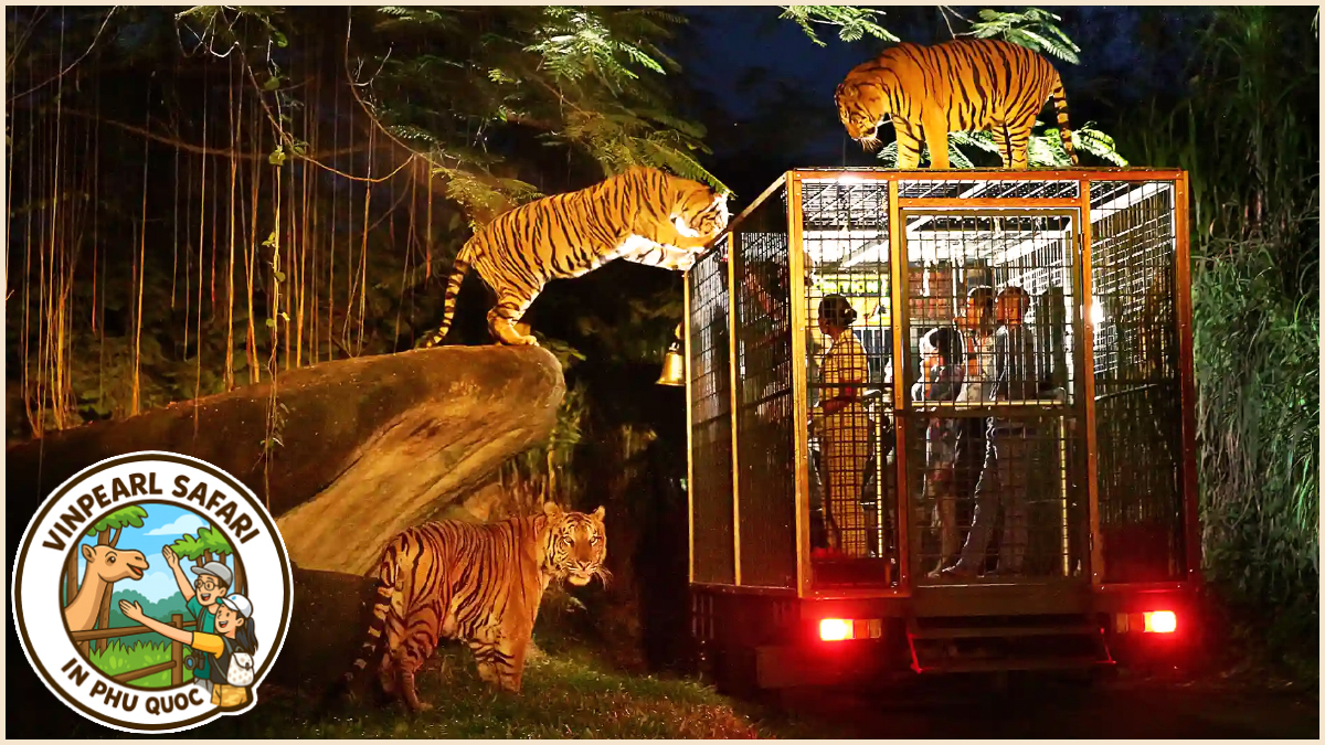 Embark on a Night Safari Tour at Vinpearl Safari in Phu Quoc Embark on a Night Safari Tour at Vinpearl Safari in Phu Quoc