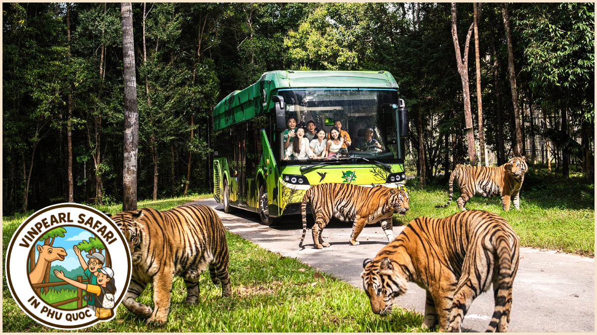 Embark on a Safari Park tour at Vinpearl Safari in Phu Quoc Embark on a Safari Park tour at Vinpearl Safari in Phu Quoc