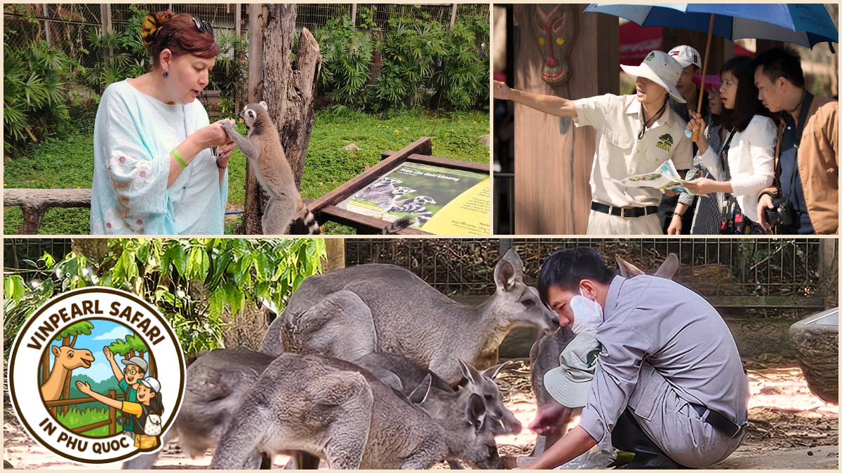 Explore Primate, Bird, and Reptile Areas at Vinpearl Safari in Phu Quoc Explore Primate, Bird, and Reptile Areas at Vinpearl Safari in Phu Quoc