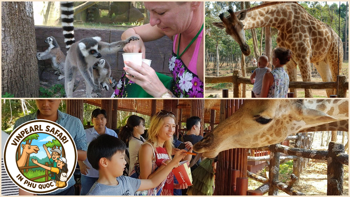 Explore the Open Zoo at Vinpearl Safari in Phu Quoc Explore the Open Zoo at Vinpearl Safari in Phu Quoc
