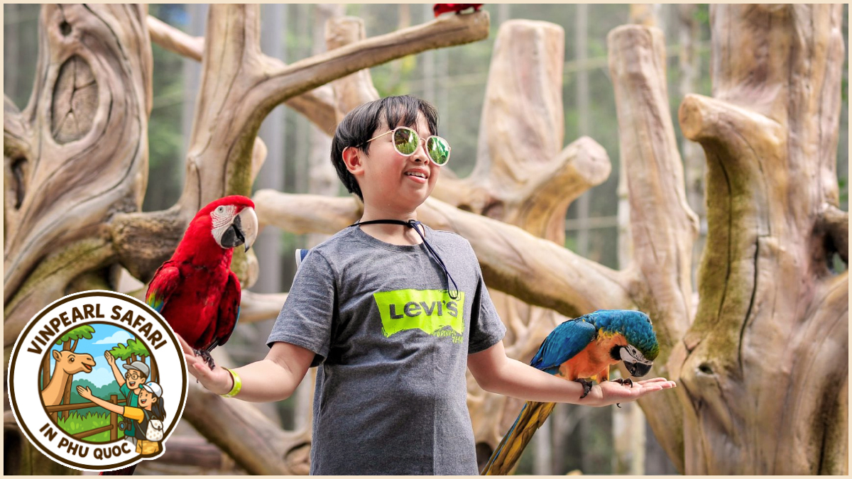 Watch Animal Shows at Vinpearl Safari in Phu Quoc Watch Animal Shows at Vinpearl Safari in Phu Quoc