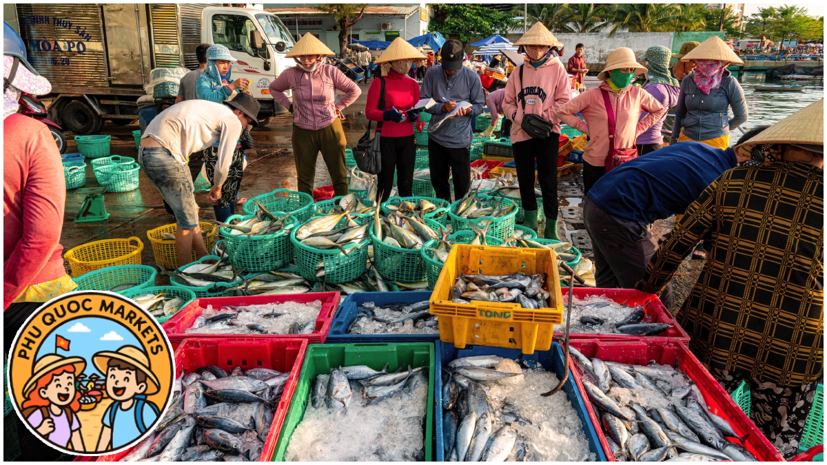 Top Phu Quoc Markets - An Thoi Market Top Phu Quoc Markets - An Thoi Market